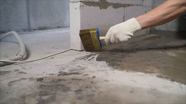 24/7 Emergency Interior Drainage System experts in Wayland, MI
